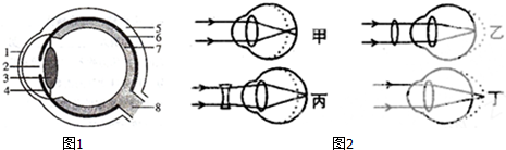 作业帮