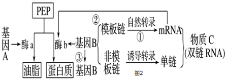 作业帮