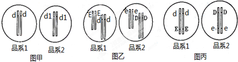 作业帮