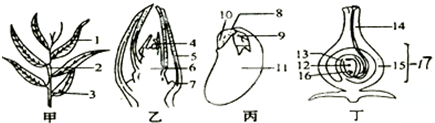 作业帮