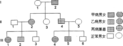 以下为某家族甲病(设基因为a,a)和乙病(设基因为b,b)的遗传家系图