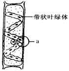 作业帮