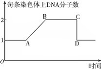 作业帮