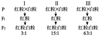 作业帮