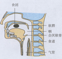 作业帮