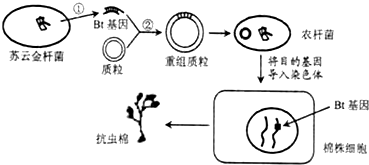 作业帮