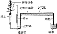 作业帮