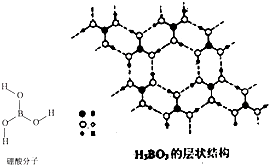 (1)b原子的结构示意图为