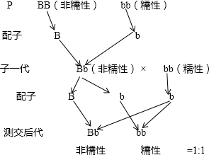 作业帮