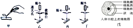 作业帮