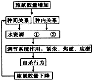 作业帮