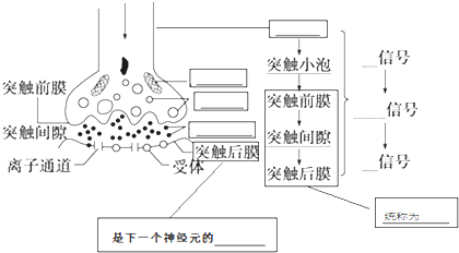 作业帮