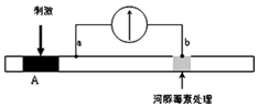 作业帮