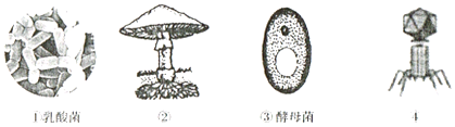 作业帮