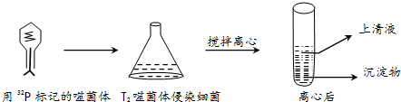 作业帮