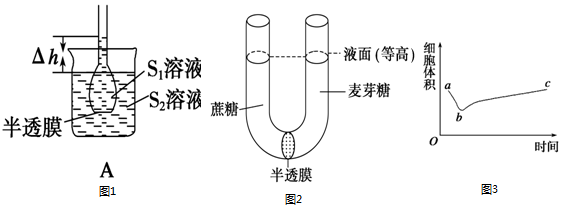 作业帮