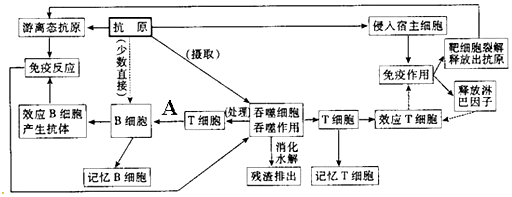 作业帮