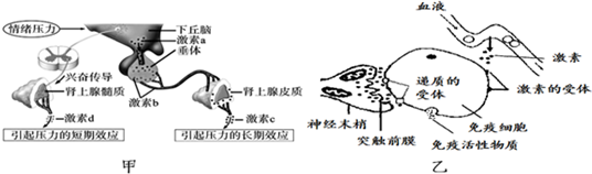 作业帮