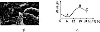 作业帮