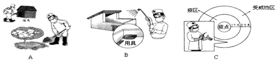 作业帮