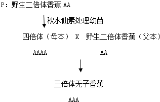 作业帮