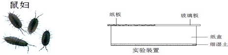 作业帮