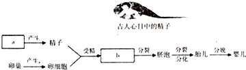 作业帮