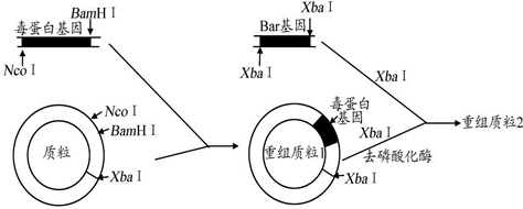 作业帮