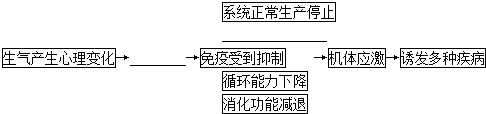 作业帮