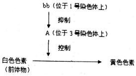 作业帮