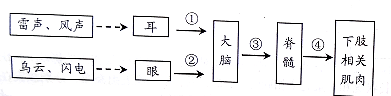 作业帮