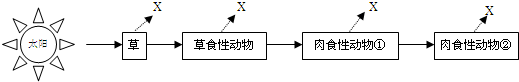 作业帮