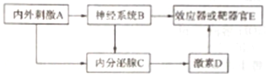 作业帮