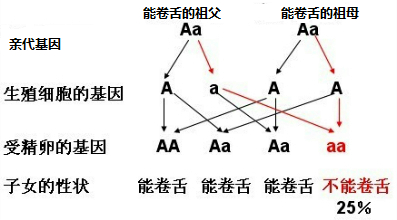 作业帮