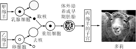 作业帮