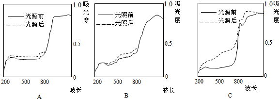 作业帮