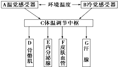 作业帮