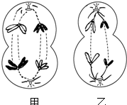 作业帮