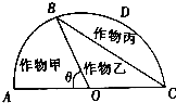 作业帮