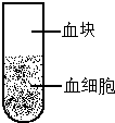 作业帮