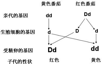 作业帮