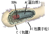 作业帮