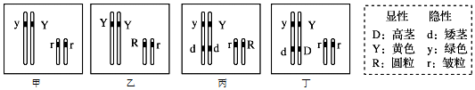 作业帮