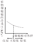 作业帮