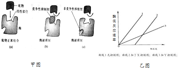 作业帮