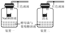 作业帮