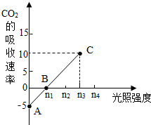 作业帮