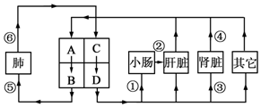 作业帮