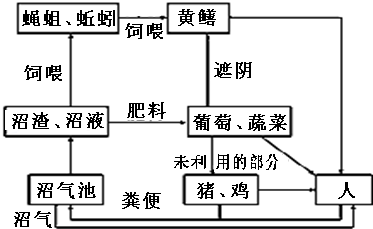 作业帮