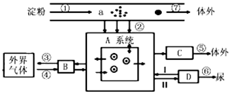 作业帮